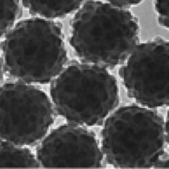 Edwards members discover unexpected stability of 'Raspberry' Colloids