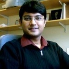 Professor Ronojoy Adhikari